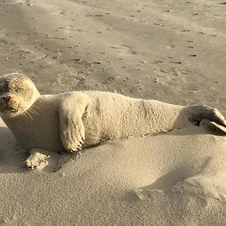 Apartment Sonnenlicht